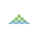 Ambarella Inc.