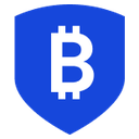 Bitgo Holdings, Inc.