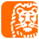 Ing Groep NV