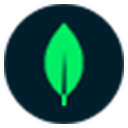 MongoDB, Inc.
